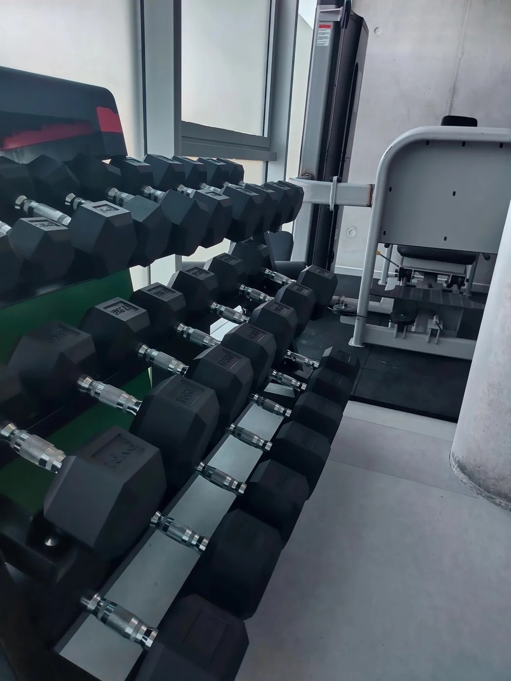 Haltères et matériel de rééducation sportive pour le renforcement musculaire